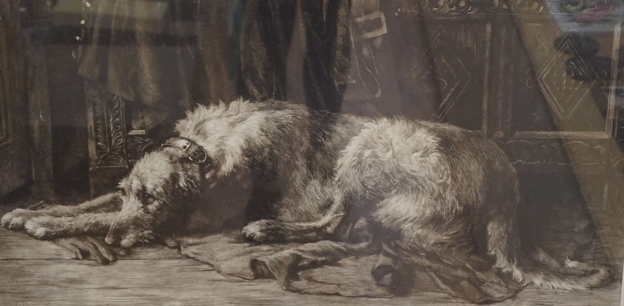 Herbert Dicksee, R.E. (1862-1942), drypoint etching, Deer hound with master's glove, signed in pencil, 32 x 63cm